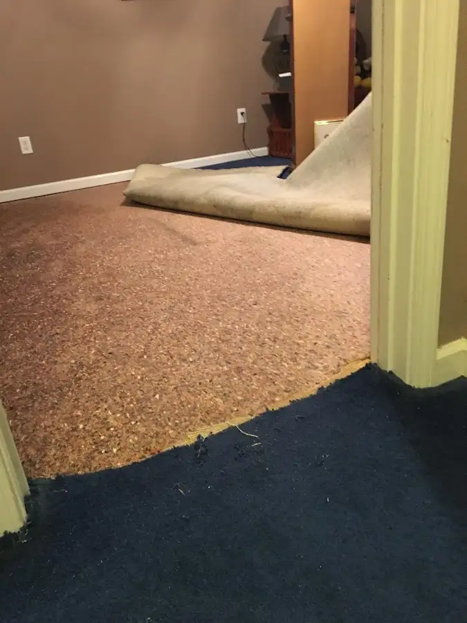 Carpet pad removal revealing water damage during Water Mitigation Services in Tiverton
